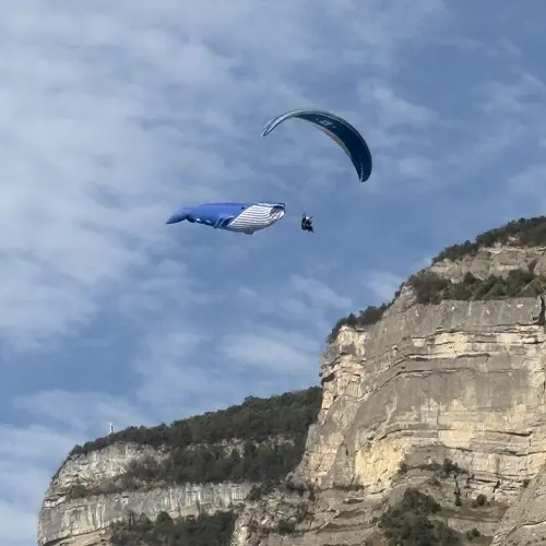 La baleine de la 53e édition de la Coupe Icare